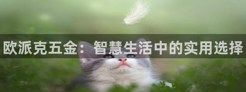 恒行主管总代6ll5l周至