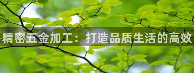 恒行娱乐鸟74ooo5判官