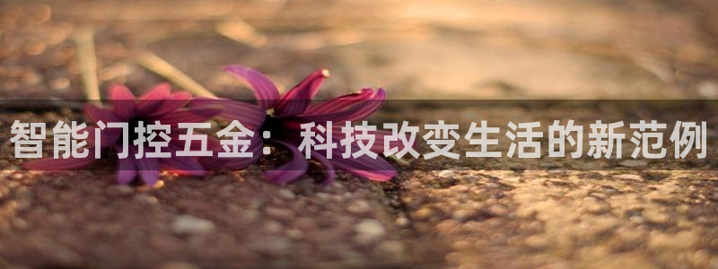 恒行代理总代主导 6ll5l