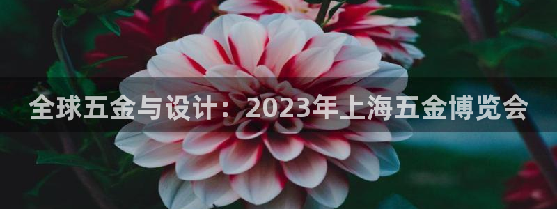 恒行代理总代主导 6ll5l