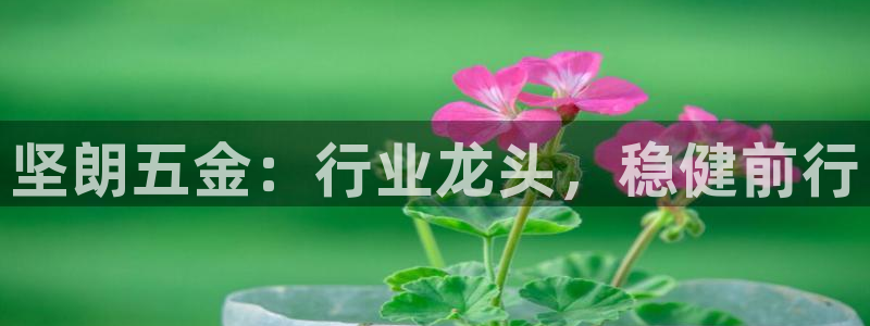 恒行开户娱乐6ll5l特惠