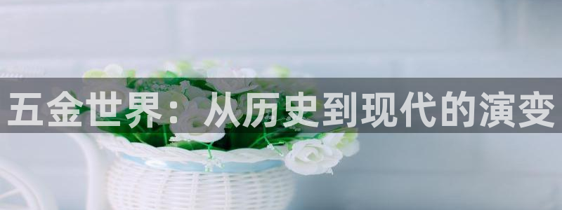 恒行娱乐蜗74ooo5指磁