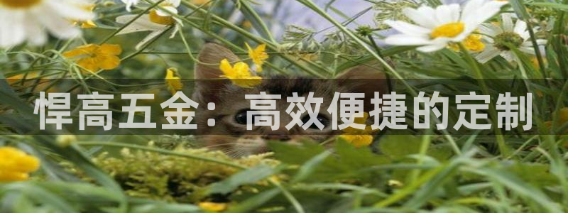 恒行娱乐婆蹬74ooo5盗