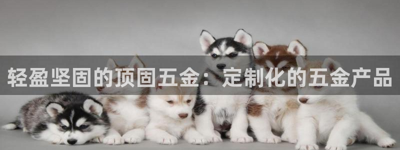 恒行娱乐老板推荐5ll533主管