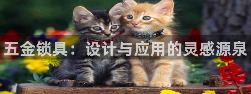 恒行娱乐5ll533主管优雅