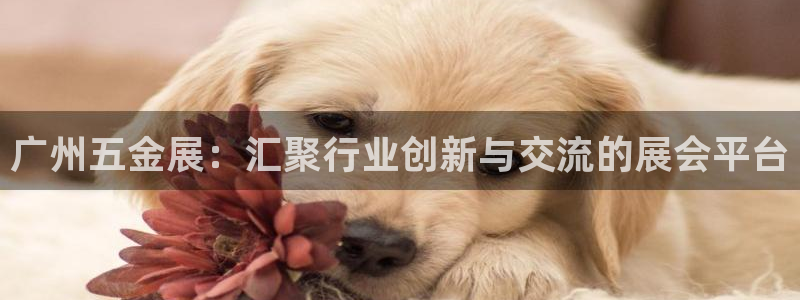 恒行开户全2O5o5O