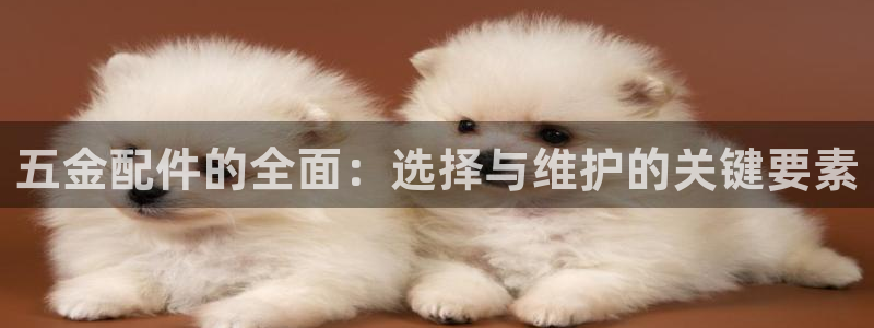 恒行娱乐寻问74 5