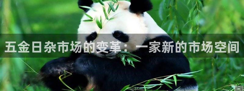 恒在5行中代表什么数字