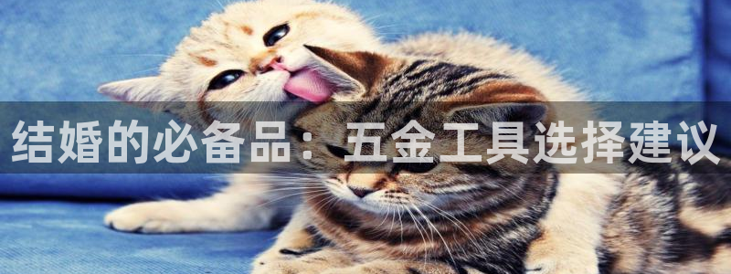 恒行招商老大诚挚 6ll5l