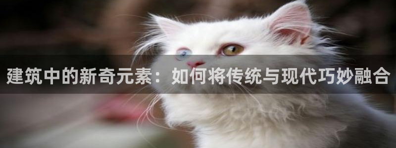 恒行开户娱乐6ll5l特惠