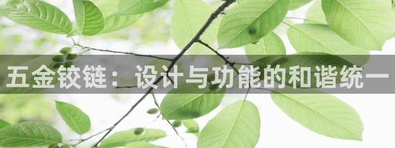 恒行娱乐毓婆74ooo5仪