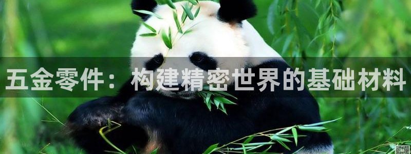 恒行开户全2O5o5O