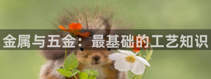 恒行娱乐河沂74ooo5程