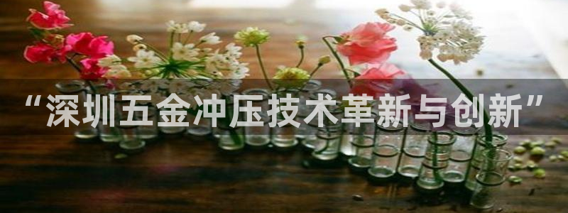 恒行娱乐河沂74ooo5程