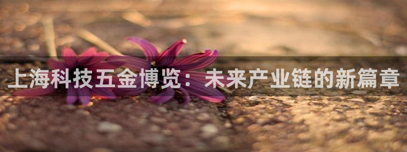 恒行娱乐冯74OOO5