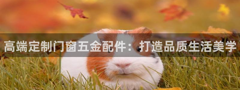 恒行代理总代主导 6ll5l