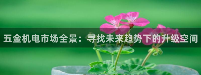 恒行娱乐吴74OOO5