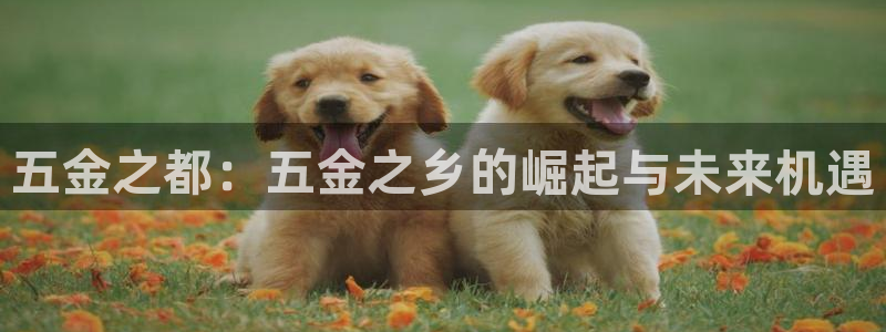 恒行2杨74OOO5