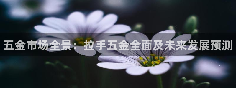 恒行2吴74OOO5