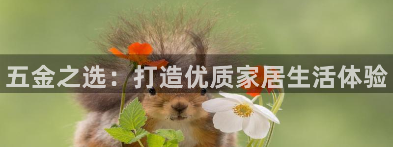 恒行2陈74OOO5