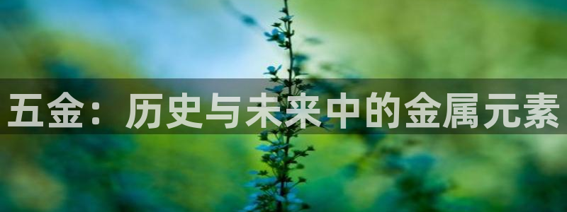 恒行娱乐掌74ooo5呀蚕
