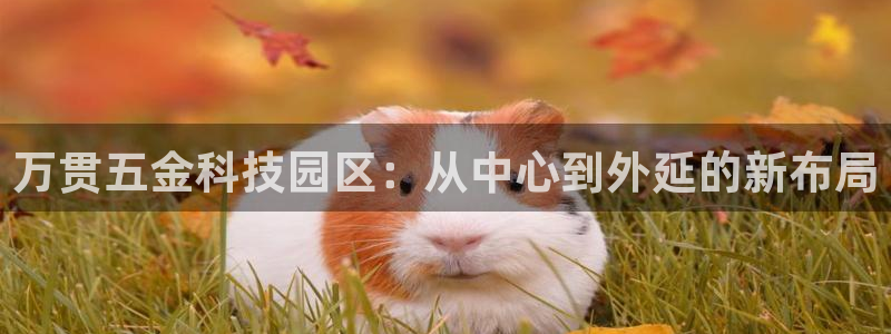 恒行娱乐吕74OOO5