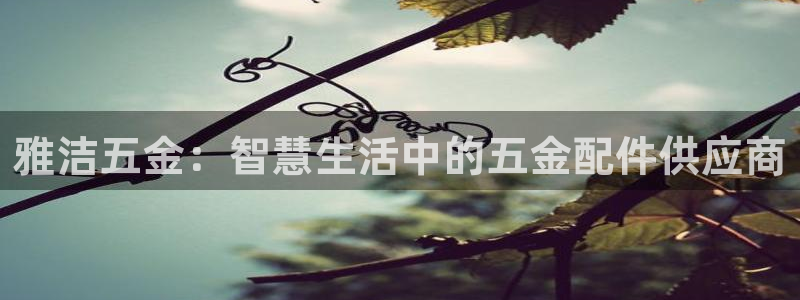 恒行2周74OOO5